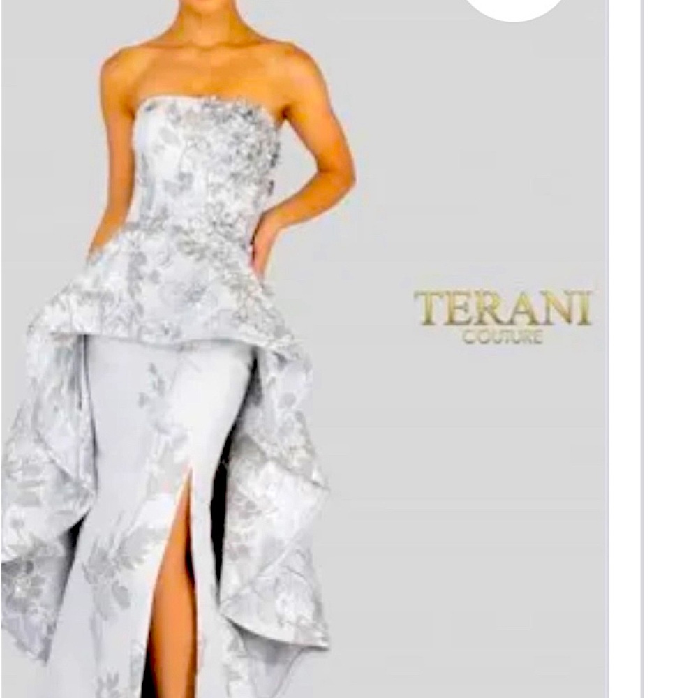 Size 14 Terani Couture evening dress.Used once. Size runs small.